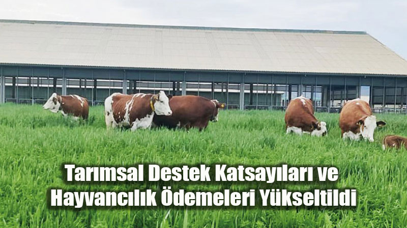 Çiftçiye Müjde: Bitkisel ve Hayvansal Üretim Desteklerinde Dev Artış!