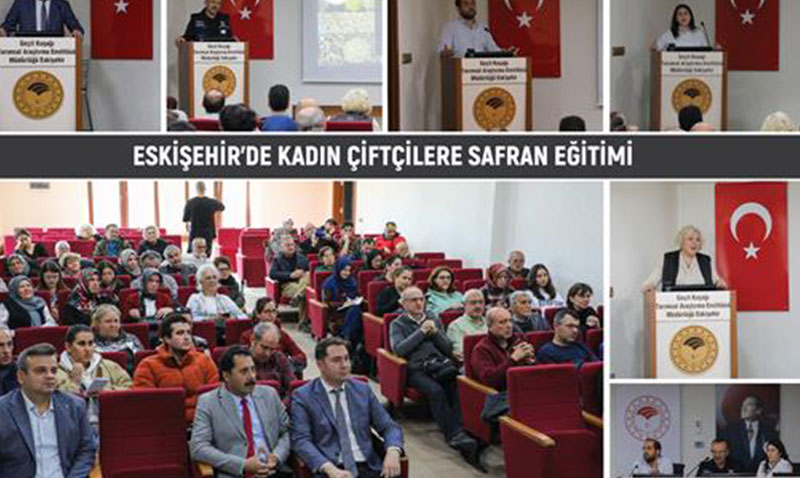 ESKEHRDE KADIN FTLERE SAFRAN ETM