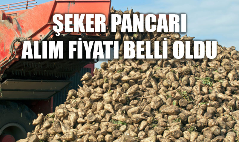 2025-2026 retim Yl eker Pancar Alm Fiyat Akland