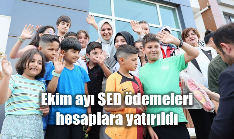 Ekim Ay Sosyal ve Ekonomik Destek (SED) demeleri Hesaplara Yatrld