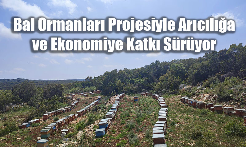 Bal Ormanlar Projesiyle Arcla ve Ekonomiye Katk Sryor