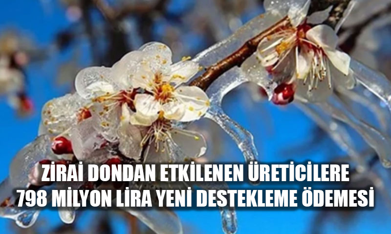 Zirai Dondan Etkilenen reticilere 798 Milyon Lira Yeni Destekleme demesi