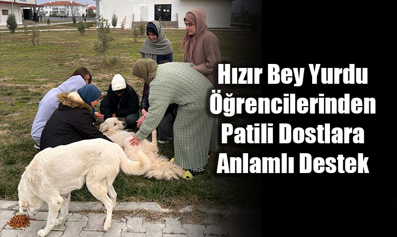 H�z�r Bey Yurdu ��rencilerinden Sokak Hayvanlar�na �zel Ziyaret