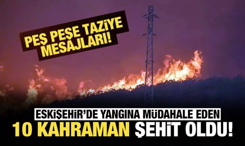 10 orman iisi ehit oldu! Pe pee taziye mesajlar...