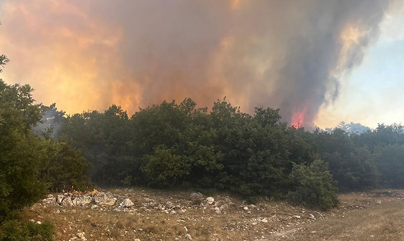 Seyitgazi’deki Orman Yangn Kontrol Altnda!