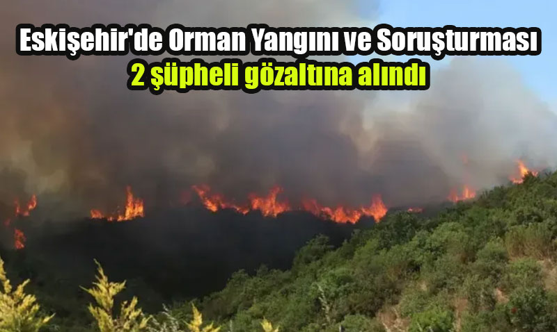 Eskiehir de dahil 12 lde 65 Orman Yangn: 44 pheli Gzaltna Alnd, 10’u Tutukland!