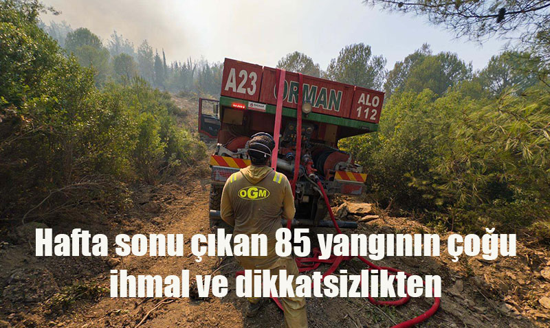 OGMden Hzl Mdahale: 85 Yangn Bymeden Sndrld