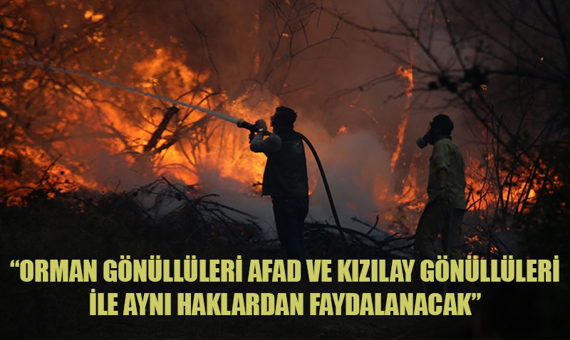 Orman Gnllleri in Yeni Dzenleme: AFAD ve Kzlay Gnllleriyle Eit Haklar