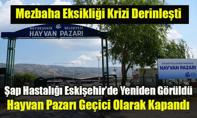 Mezbaha Eksiklii Krizi Derinleti: ap Hastal Eskiehirde Yeniden Grld