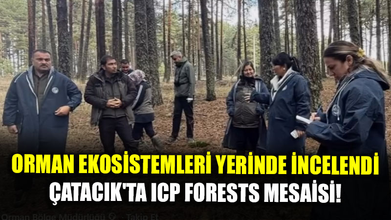 Eski�ehir Ormanlar�nda Uluslararas� Takip: �atac�k’ta ICP Forests �ncelemesi!