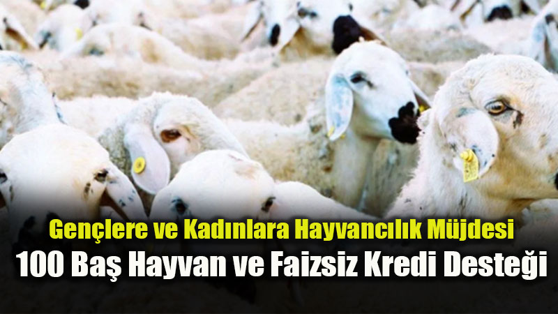 K�rsalda Bereket Vakti: K���kba� Hayvanc�l��a Dev Yat�r�m Hamlesi!