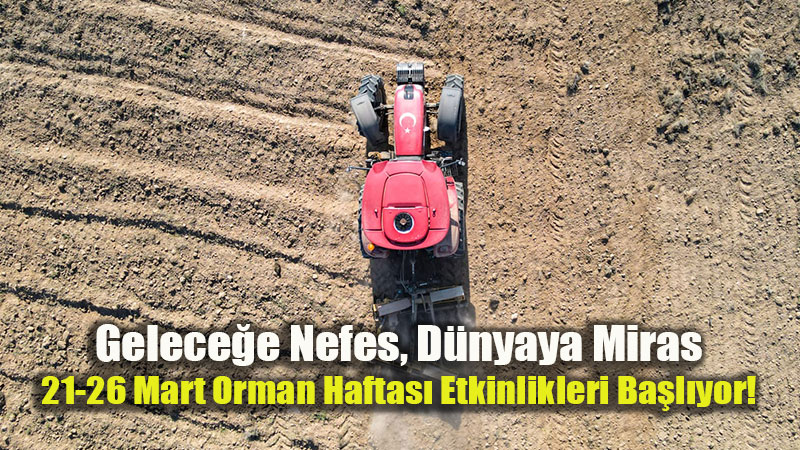 81 �lde Ye�il Seferberlik: Orman Genel M�d�rl����nden "Fidan Dikim" �a�r�s�