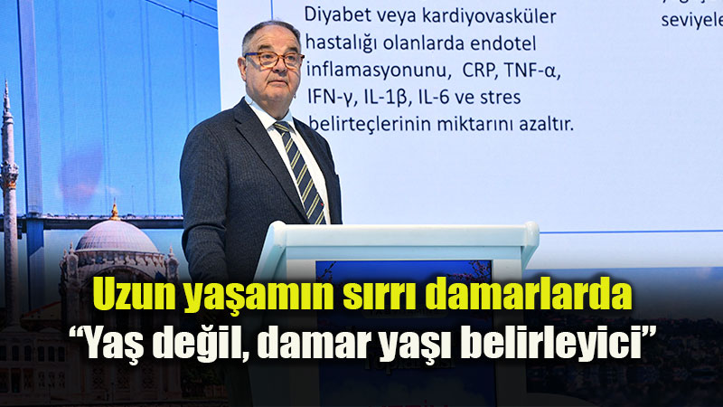 Uzun ya�am�n s�rr� damarlarda