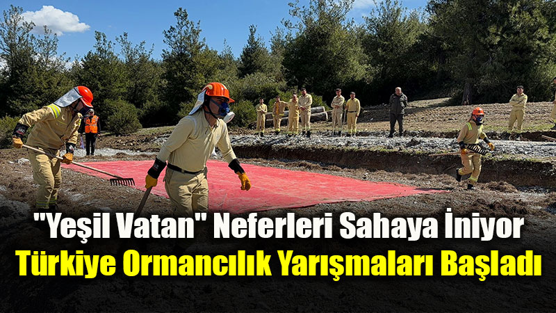 Ormanc�l�kta Dev Organizasyon: 6 Zorlu Parkurda Mesleki Dayan��ma Yar���