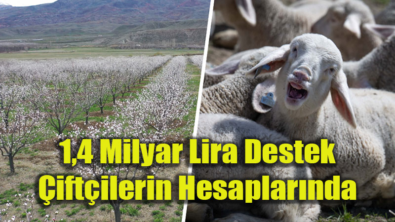 �ift�ilere 1,4 Milyar Lira Tar�msal Destek Aktar�lacak
