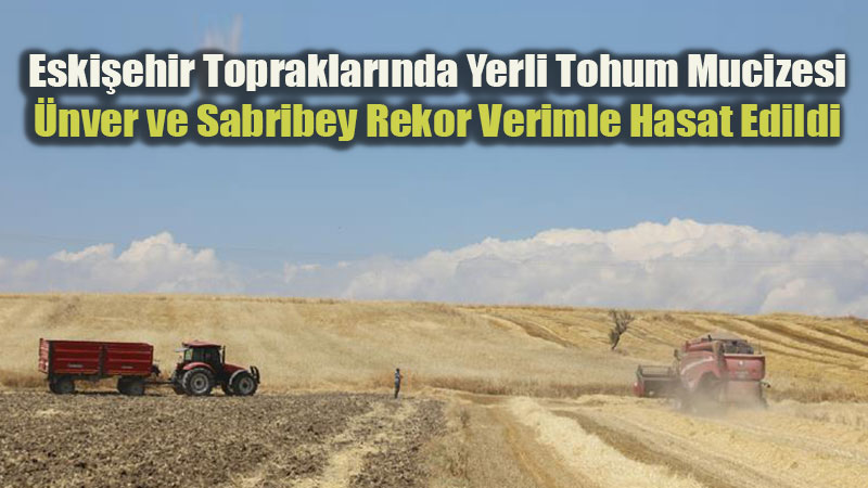 Eski�ehir’de Yerli Arpa �e�itleri Verimiyle �ne ��kt�
